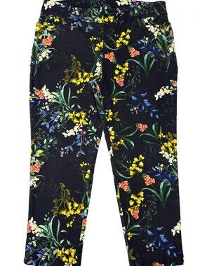 Chico’s Brigitte Ankle Pants Women’s 14P Floral Pull On Slim Stretch